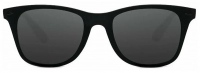 Солнцезащитные очки Turok TS Traveler (STR004-0120) (черный)