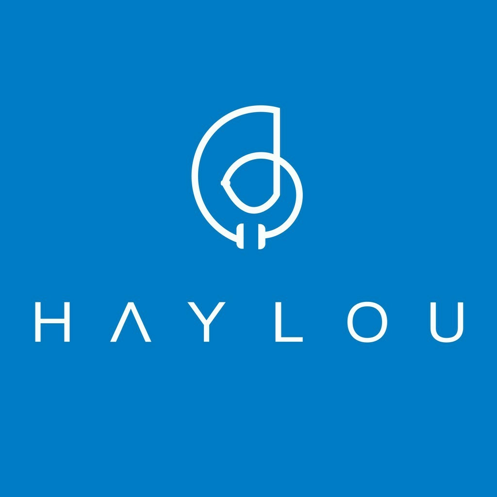 Логотип Haylou