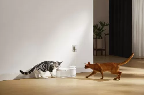 Умная поилка для животных Trouver WF10 Pro (PWB20A) — фото, купить в Минске с доставкой по Беларуси — 360shop.by