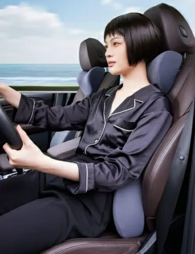 Подушка автомобильная под шею и поясницу 8H TZ7+K15 — фото, купить в Минске с доставкой по Беларуси — 360shop.by