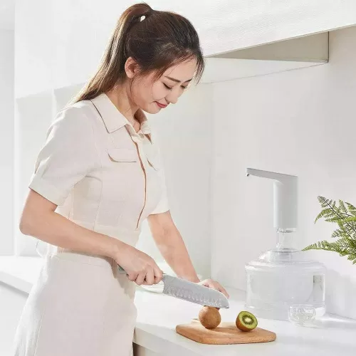 Автоматическая помпа для воды Xiaolang TDS Automatic Water Feeder (HD-ZDCSJ01) — фото, купить в Минске с доставкой по Беларуси — 360shop.by