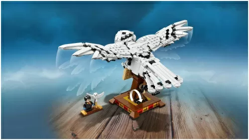 Конструктор LEGO Harry Potter 75979 Букля