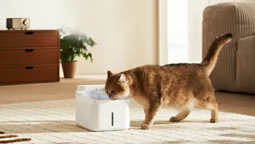 Умная поилка для животных Xiaomi Smart Pet Fountain 2 (XMCWYSJ02) — фото, купить в Минске с доставкой по Беларуси — 360shop.by