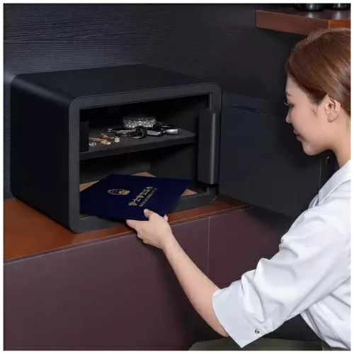 Умный сейф Mijia Smart Safe Deposit Box (BGX-5/X1-303) – фото, купить в Минске с доставкой по Беларуси – 360shop.by