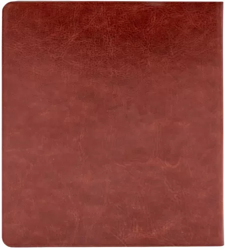 Электронная книга Onyx BOOX Galileo 2 (ОНИКС БУКС Галилео 2) – фото, купить в Минске с доставкой по Беларуси – 360shop.by