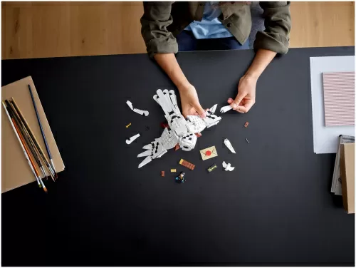 Конструктор LEGO Harry Potter 75979 Букля