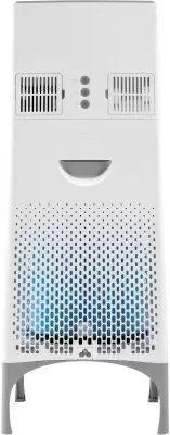 Очиститель воздуха Electrolux EAP-2075D Yin&Yang– фото, купить в Минске с доставкой по Беларуси – 360shop.by