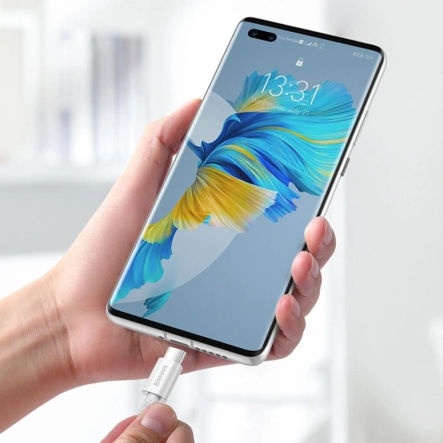 Кабель Baseus USB Type-C – USB Type-C (CATYS-C02) — фото, купить в Минске с доставкой по Беларуси — 360shop.by