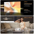 Wanbo X5  – фото, купить в Минске с доставкой по Беларуси – 360shop.by