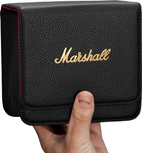Наушники Marshall MID A.N.C.