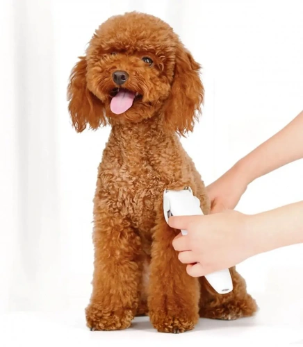 Машинка для стрижки животных Pawbby Pet Shaver — фото, купить в Минске с доставкой по Беларуси — 360shop.by