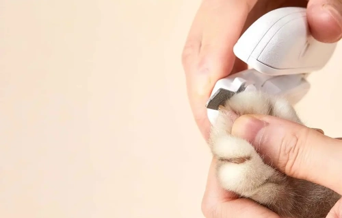 Когтерезка Petkit LED Light Nail Clipper — фото, купить в Минске с доставкой по Беларуси — 360shop.by