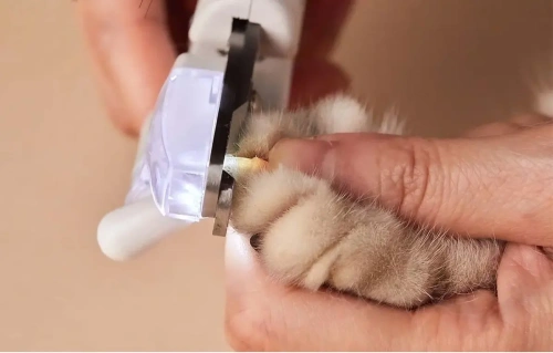 Когтерезка Petkit LED Light Nail Clipper — фото, купить в Минске с доставкой по Беларуси — 360shop.by