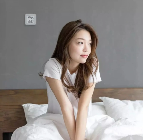 Термогигрометр Miaomiaoce Zenmeasure Bluetooth Hygrometer Thermometer (MHO-C401) — фото, купить в Минске с доставкой по Беларуси — 360shop.by