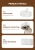 Сушилка для одежды Xiaomi Smart Frog Portable Dryer (KW-GY05B) — фото, купить в Минске с доставкой по Беларуси — 360shop.by