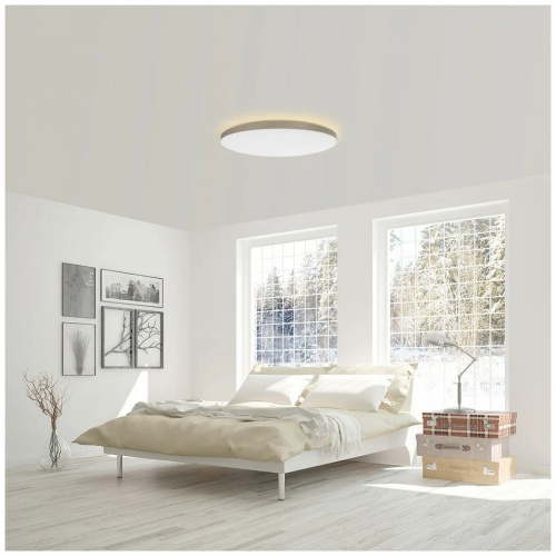 Потолочный светильник Yeelight Halo Ceiling Light (YLXD50YL)