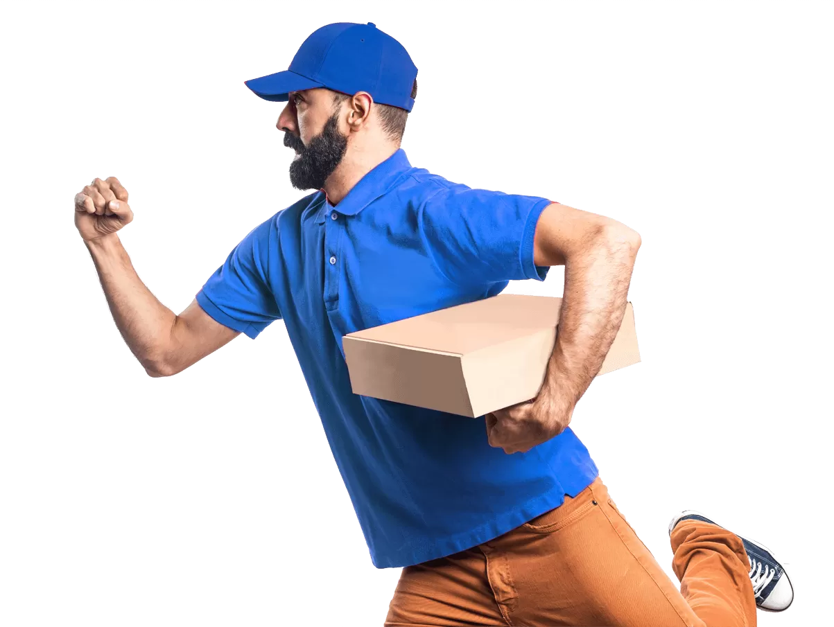 companypic.png companypic.png